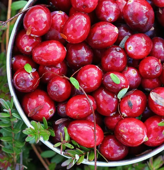 Cranberry Delight Wax Melts